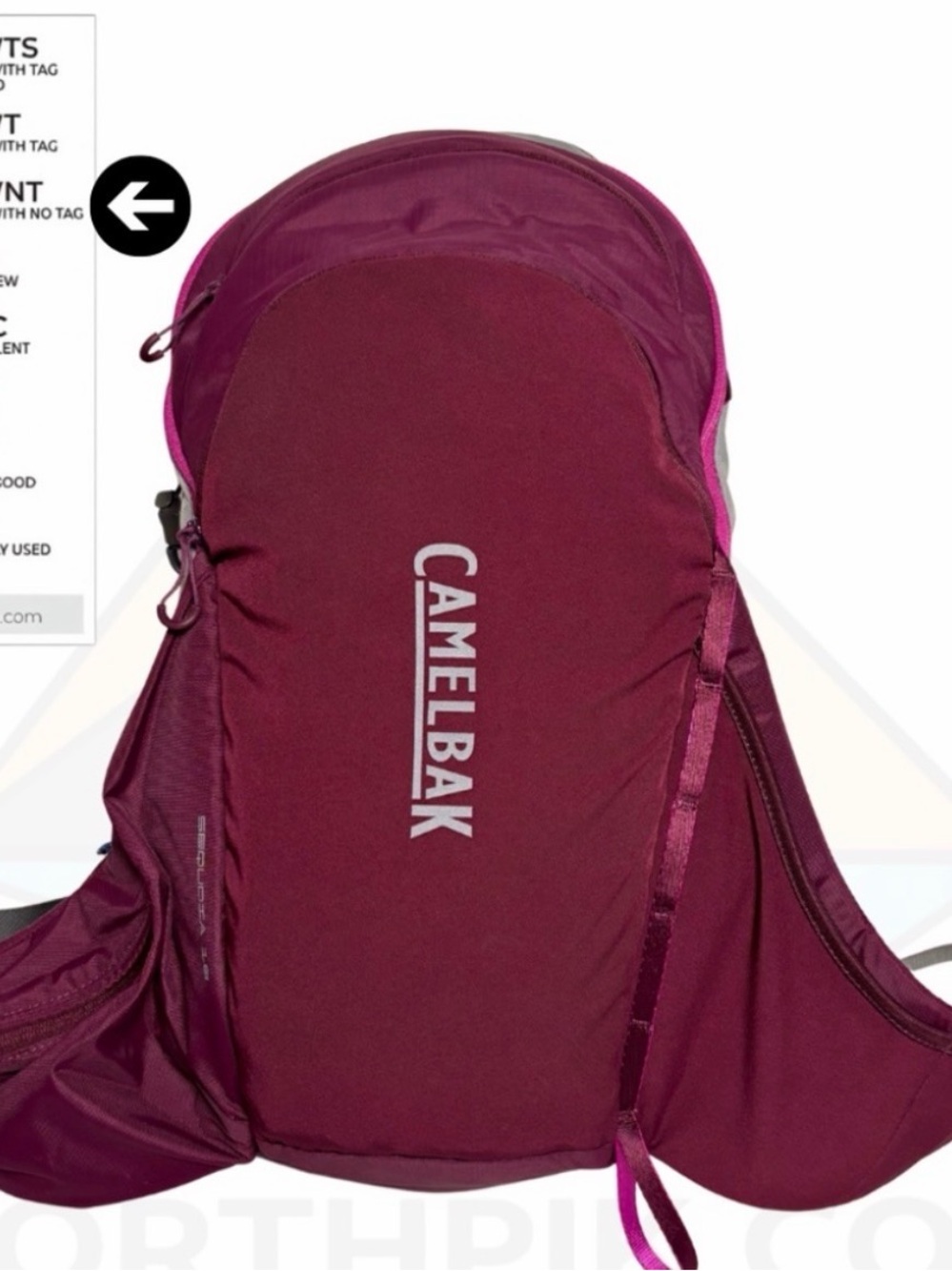 CamelBak Women's Hydration Backpack in Plum and Pink